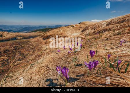 Un aquilone colorato sulla cima di una montagna Foto Stock