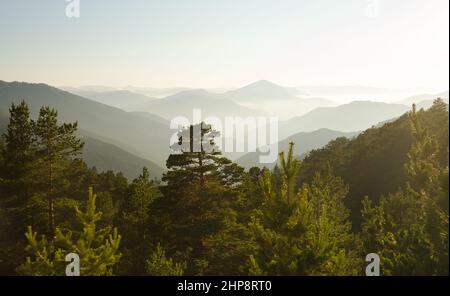 Paesaggio panoramico con silhouette verdi di alberi e montagne. Sfondo primaverile. Foto Stock