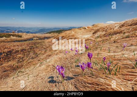 Un aquilone colorato sulla cima di una montagna Foto Stock