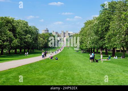 Il Long Walk, un viale alberato nei Parchi reali di Windsor conduce verso il Castello di Windsor. I visitatori possono fare un picnic e passeggiare lungo il viale in una giornata di sole. Foto Stock