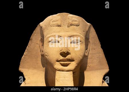 Torino, Italia - Circa Luglio 2021: Archeologia egizia. Antica Sfinge in arenaria raffigurante il faraone, spazio copia Foto Stock