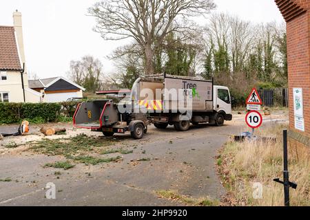 Woodbridge Suffolk UK Febbraio 19 2022: I chirurghi degli alberi che effettuano lavori di emergenza dopo una tempesta estrema hanno causato danni ad un grande albero danneggiando una casa Foto Stock