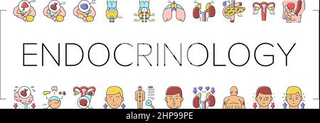 Endocrinologia Medical Disease Icons Set Vector . Illustrazione Vettoriale