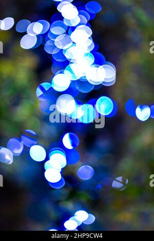 Cerchi bokeh rotondi sfondo astratto con luci al neon blu illuminate decorazioni su albero di notte sera strada scura a Shinjuku, verticale di Tokyo Foto Stock