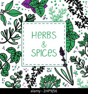 Layout della confezione. Erbe e spezie, illustrazioni vettoriali disegnate a mano. Disegno di cibo a mano. Cucina. Piante aromatiche. Progettazione di cartoline. Stile di schizzo Illustrazione Vettoriale
