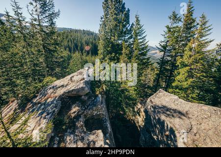 Un primo piano di una montagna rocciosa con alberi in lo sfondo Foto Stock