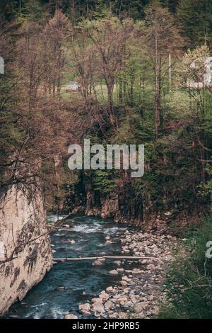 Un fiume che scorre attraverso una foresta Foto Stock
