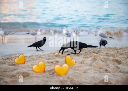 corvi e cuori gialli nella sabbia si ergono sul mare Foto Stock