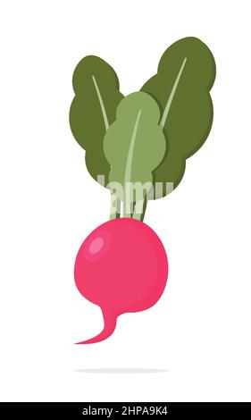 Piatto isolato su sfondo bianco. Illustrazione Vettoriale