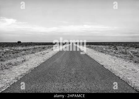 Contrasto bianco nero nascosto sigillato Bitumen Marma scatola creed strada in Outback dell'Australia da Balranald al Lago Mungo. Foto Stock