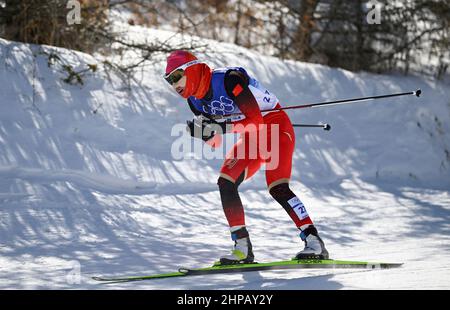 Zhangjiakou, la provincia cinese di Hebei. 20th Feb 2022. Il Chi Chunxue della Cina compete durante l'inizio di massa 30km delle donne di sci di fondo libero di Pechino 2022 Olimpiadi invernali al Centro Nazionale di Sci di fondo a Zhangjiakou, provincia del nord della Cina di Hebei, 20 febbraio 2022. Credit: Dai Tianfang/Xinhua/Alamy Live News Foto Stock