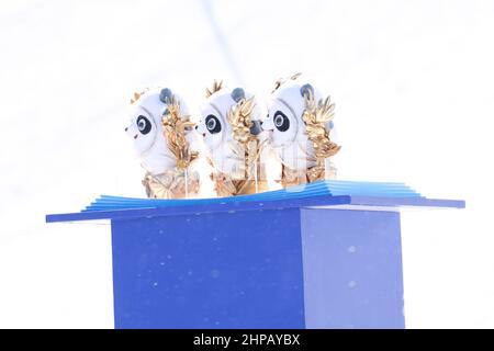 Zhangjiakou, Hebei, Cina. 18th Feb 2022. Vista generale Sci Freestyle : finale di Malfpipe di Sci delle Donne durante i Giochi Olimpici invernali di Pechino 2022 al Genting Snow Park a Zhangjiakou, Hebei, Cina . Credit: YUTAKA/AFLO SPORT/Alamy Live News Foto Stock