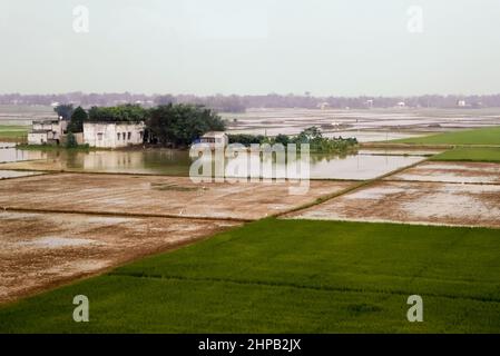 Campi di risaie allagati nel Delta del Mekong dalla Trung Lương Expressway, Vietnam Foto Stock