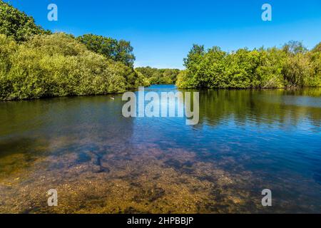 Hollow Pond in Leyton Flats, Londra, Regno Unito Foto Stock