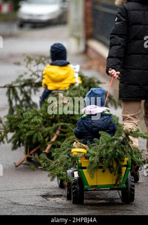 Berlino, Germania. 20th Feb 2022. Due bambini stanno pulendo i rami abbattuti con due piccoli trattori giocattolo. Credit: Fabian Sommer/dpa/Alamy Live News Foto Stock