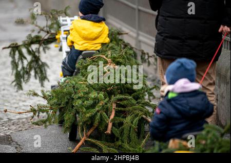 Berlino, Germania. 20th Feb 2022. Due bambini stanno pulendo i rami abbattuti con due piccoli trattori giocattolo. Credit: Fabian Sommer/dpa/Alamy Live News Foto Stock