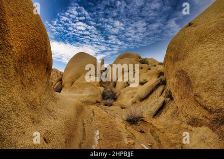 Impressionanti formazioni rocciose gialle erose come un ingresso gigante nel Joshua Tree National Park, vicino a Jumbo Rock, Mojave Desert, California, USA Foto Stock