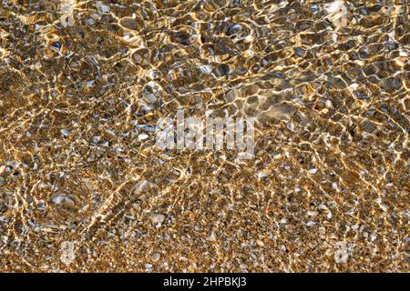Conchiglie e ciottoli sulla riva del mare Foto Stock