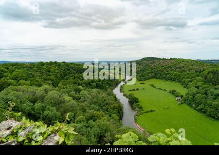 River Wye Valley visto da Symonds yatt Foto Stock