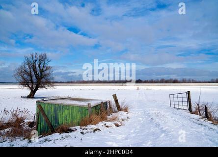 Capannone e albero solitario in un paesaggio innevato Foto Stock