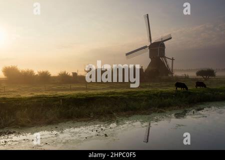 Mulino a vento il Wingerdse Molen vicino a Bleskensgraaf nella regione olandese Alblasserwaard Foto Stock