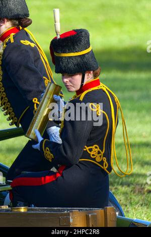 Soldato della truppa del re, artiglieria reale del cavallo Foto Stock