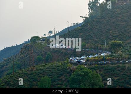 20 febbraio 2022, Kurseong, Bengala Occidentale, India: Le automobili passano da un giardino del tè nella città di Kurseong, distretto di Darjeeling, Bengala Occidentale, India, 20 febbraio, 2022. Kurseong è famosa per le attrazioni turistiche del Bengala del Nord, India. (Credit Image: © Infranil Aditya/ZUMA Press Wire) Foto Stock