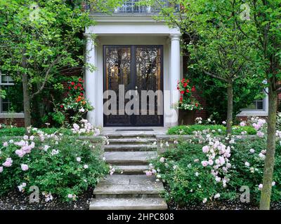 Giardino con cespugli di rose e scalini in pietra che conducono all'elegante porta frontale in vetro della casa cittadina o dell'edificio di appartamenti Foto Stock