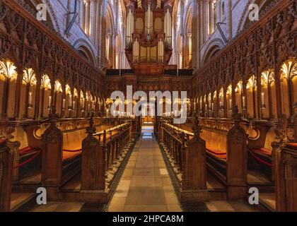 L'interno della Cattedrale di Norwich, Norfolk, Inghilterra Foto Stock