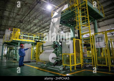 Chongqing, Cina. 12th Feb 2022. Un membro dello staff controlla l'imballaggio dei prodotti di alcool polivinilico (PVA) a Chongqing, Cina sudoccidentale, 12 febbraio 2022. Un treno merci Yuxin'ou (Chongqing-Xinjiang-Europe) Cina-Europa che trasporta più di 1.100 tonnellate di alcool polivinilico (PVA) e altri prodotti chimici fini ha lasciato il porto di Guoyuan a Chongqing per Duisburg di Germania il 20 febbraio. Credit: Tang Yi/Xinhua/Alamy Live News Foto Stock