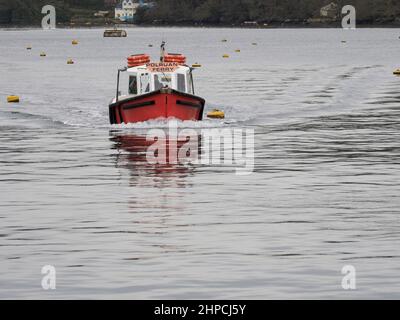 Traghetto passeggeri Polruan proveniente da Fowey, Cornovaglia, Regno Unito Foto Stock