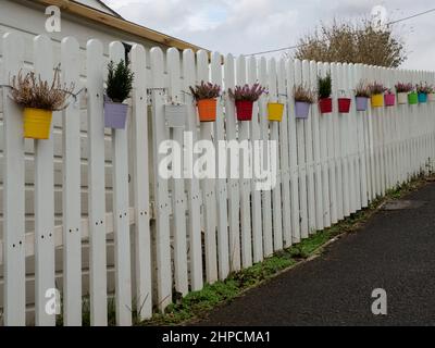 Vasi di fiori lungo l'esterno di una recinzione giardino lungo il marciapiede, Polruan, Cornovaglia, Regno Unito Foto Stock