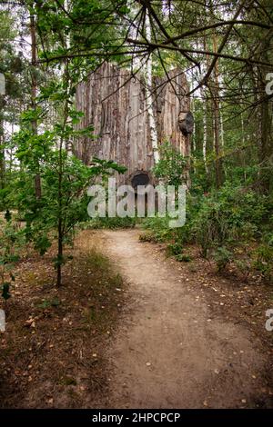 grande albero segreto nel mezzo della foresta Foto Stock
