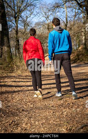 Bella giovane coppia è escursioni nei boschi. La coppia è vista da dietro mentre cammina tra gli alberi. Concetto di viaggio e natura. Foto Stock