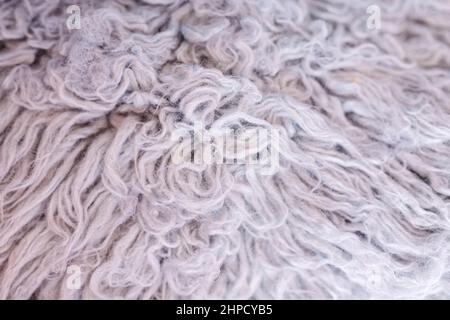 flokati. pelliccia di pelle di pecora. lana naturale. Foto Stock