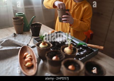 concetto di giardinaggio. bambina è impegnata in semi piantanti per piantine, versando terra in pentole per coltivare raccolti. Foto Stock