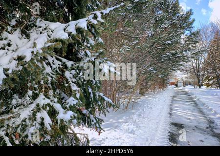 Scenario pittoresco del sentiero nel parco con neve profonda. Foto Stock