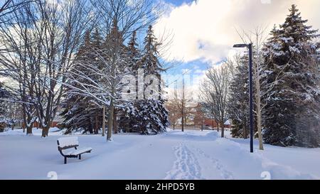 Scenario pittoresco del sentiero con le impronte nel parco con luce di strada e panca parco. Foto Stock