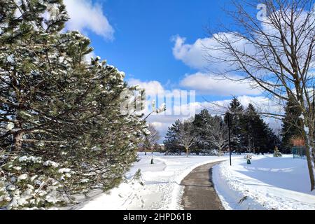 La neve d'inverno crea un paesaggio pittoresco sul sentiero nel parco con la neve profonda. Foto Stock