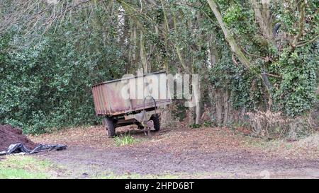 Considerate come immagini d'arte di alta qualità, fotografie scattate intorno al parco di Bressingdon in Norfolk con alcuni movimenti intenzionali della telecamera ICM durante l'esposizione. Foto Stock