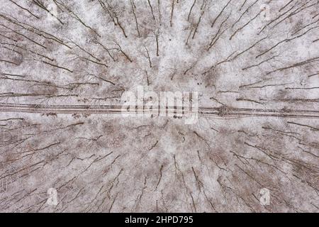 Vista aerea dall'alto verso il basso su una strada sterrata che attraversa una foresta innevata. Foto Stock