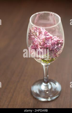 Bicchiere di vino con fiori di lilla Foto Stock