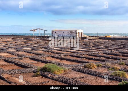 Saline Salinas del Carmen a Fuerteventura, Isole Canarie, Spagna Foto Stock