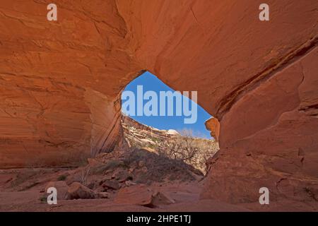 Sbirciando attraverso una finestra nel deserto a Kachina Bridge in Natural Bridges National Monument in Utah Foto Stock