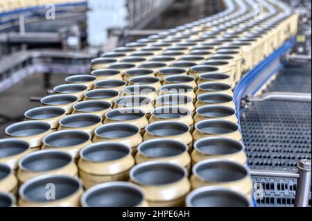 Molte lattine di birra vuote sul trasportatore. Foto Stock