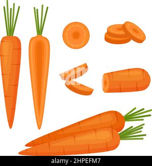 Carota, verdura intera, metà e fette, illustrazione vettoriale Illustrazione Vettoriale