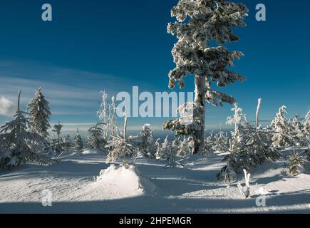 Inverno nei monti Beskidy vicino a Szyndzielnia, Klimczok e Blatnia, Beskid Slaski, Polonia Foto Stock