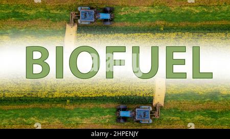 l'iscrizione biocarburante sullo sfondo di una vista dall'alto del campo di colza Foto Stock