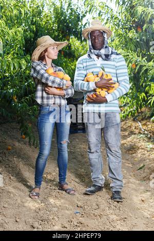 Donna e uomo che tengono pesche Foto Stock