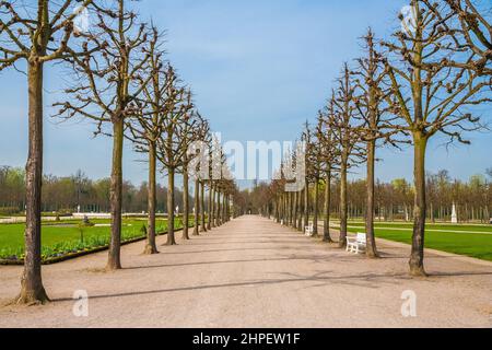 Bella vista su un viale con alberi senza fronzoli in primavera nel famoso giardino barocco del Palazzo Schwetzingen a Baden-Württemberg, Germania. Foto Stock